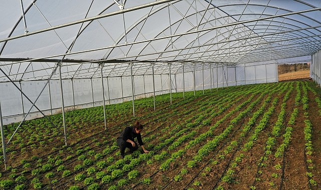 Didim Belediyesi Kadın Meclisi Mart Ayı Toplantısı Gerçekleştirildi