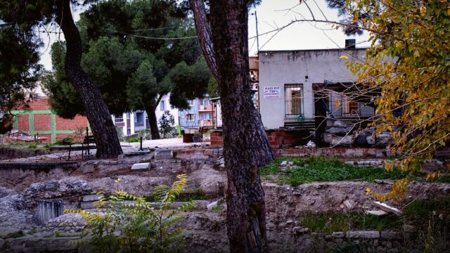 Kırşehir’de şap ve brusella aşılama faaliyetleri devam ediyor