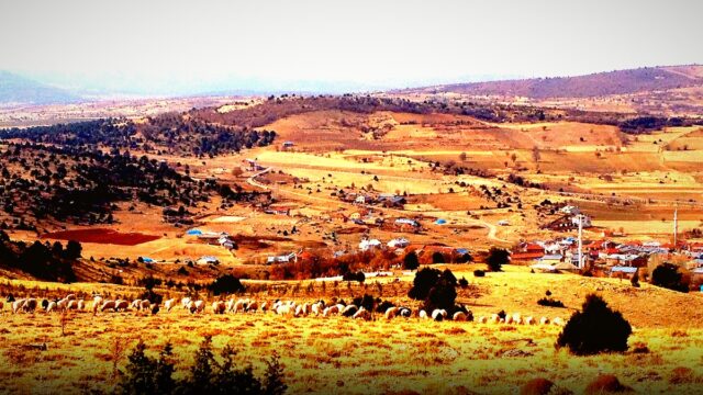 Kırşehir’in Mucur İlçesinde Hayvancılık İşletmeleri Denetlendi