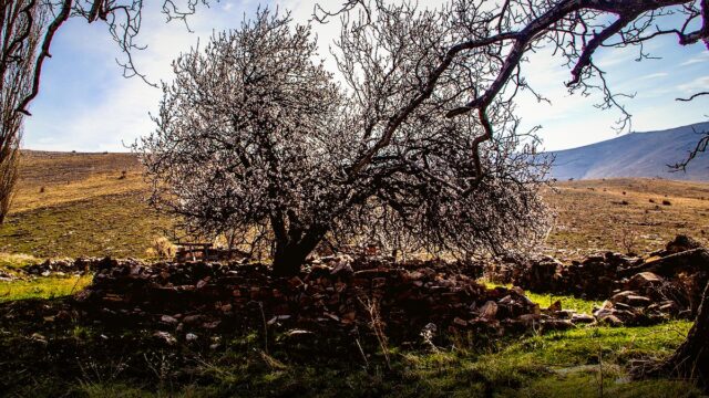 TÜRKAV Kırşehir’de Yeni Dönemin İlk Toplantısını Yaptı
